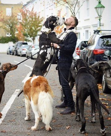 James with one of his Great Danes during his early London days